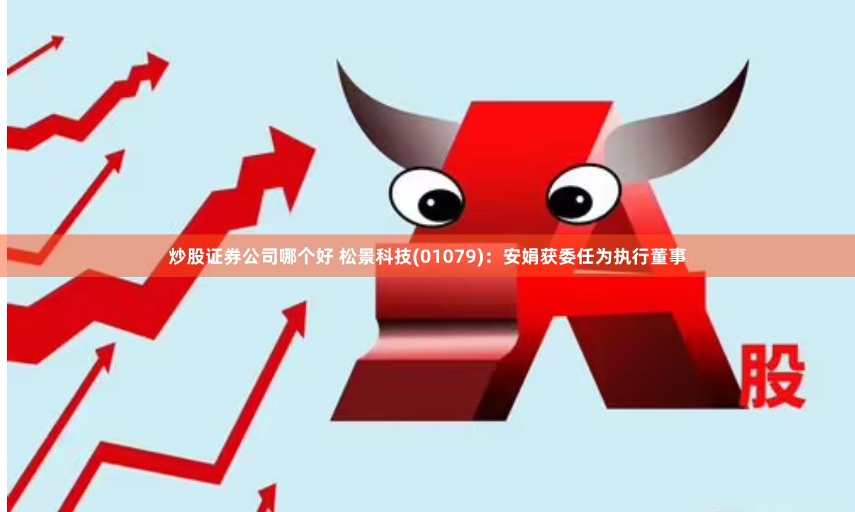 炒股证券公司哪个好 松景科技(01079)：安娟获委任为执行董事