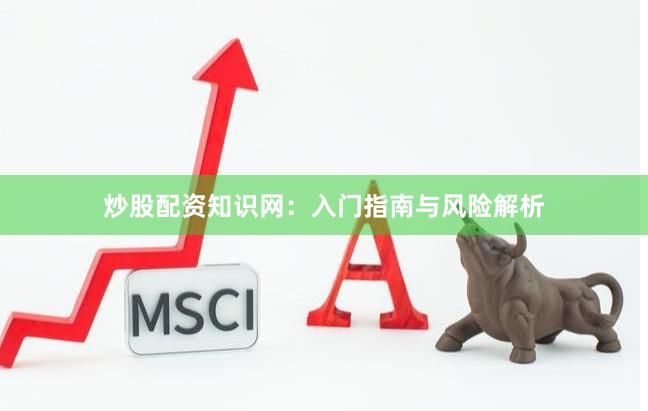 炒股配资知识网：入门指南与风险解析